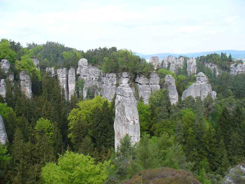 P1020549