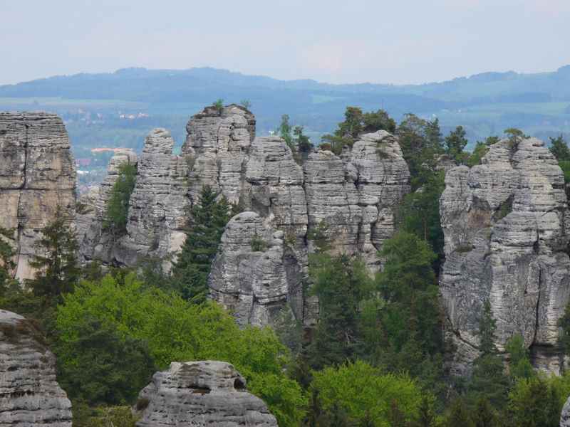P1020554